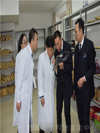 法醫(yī)臨床鑒定